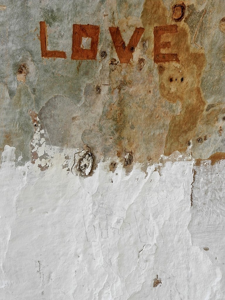 True Tree Love Tag     