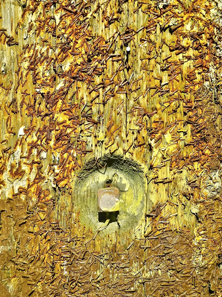 Stappled Wooden Post
