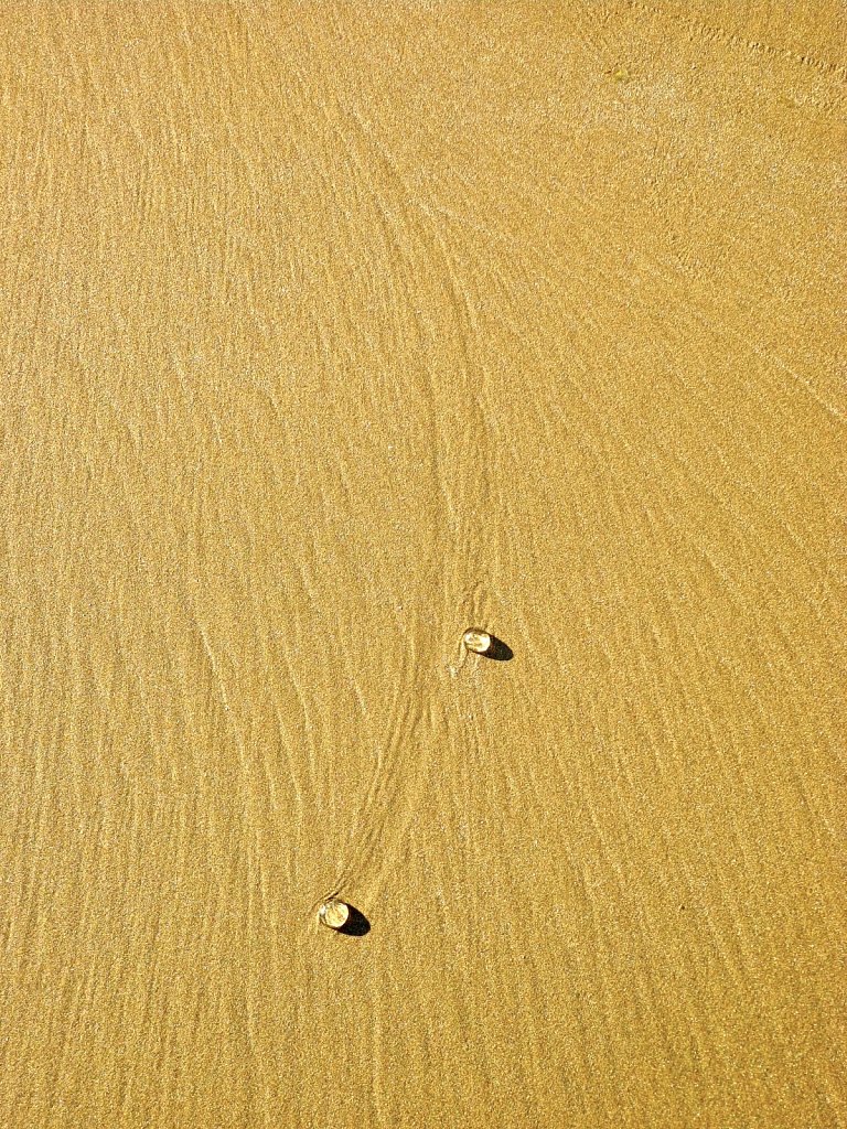 Beach Rolling Tears