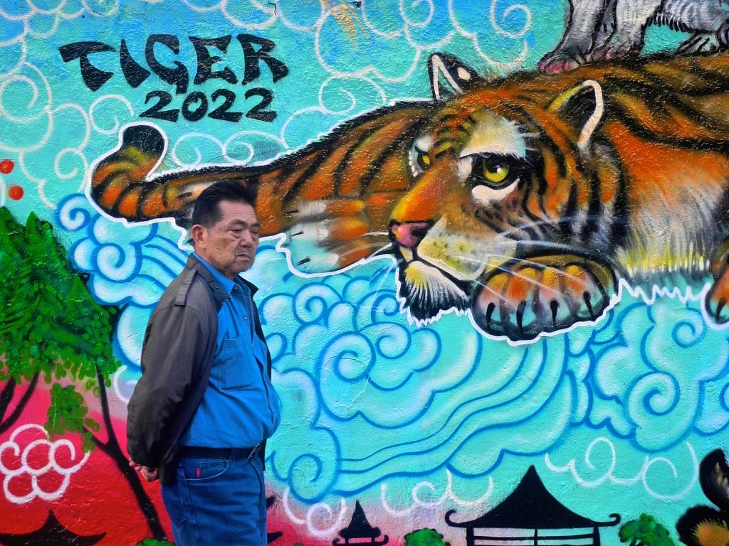 Chinatown Tiger Thrill