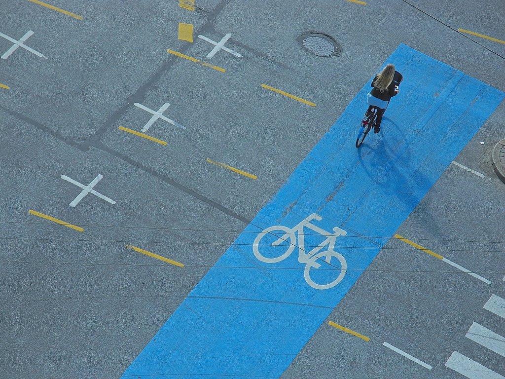 Blue Stripe Biker 