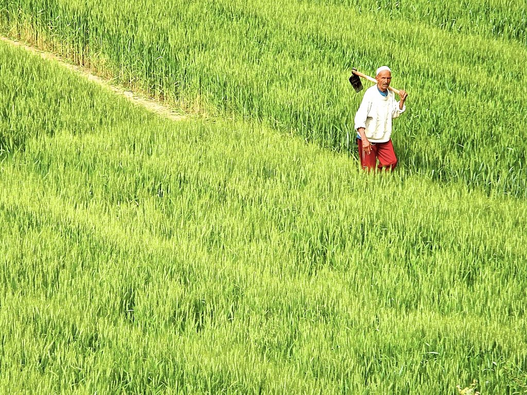 Atlas Field     