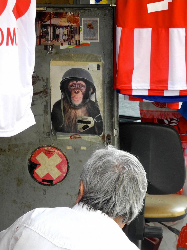 Primate Glance