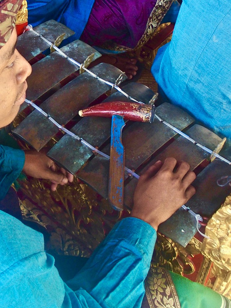 Traditional Musician