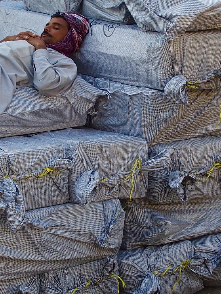 Sleeping in Bags 2