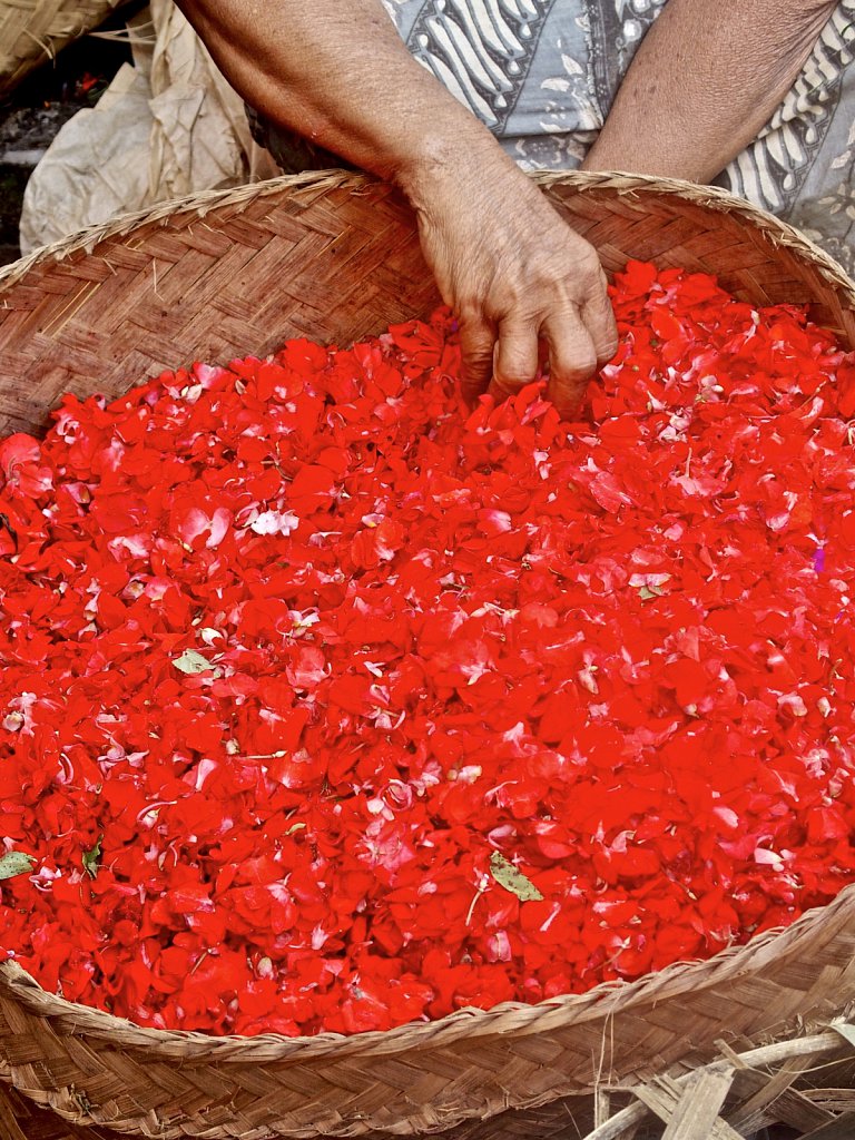 Flower Seller 2