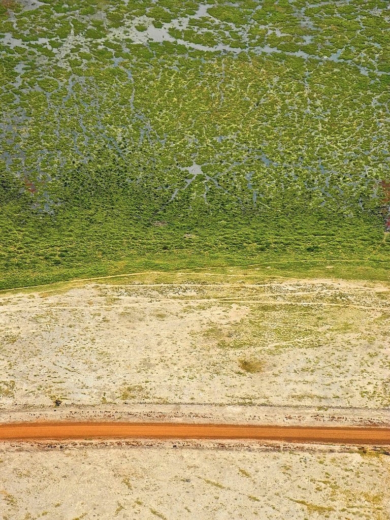 Track into the Wild