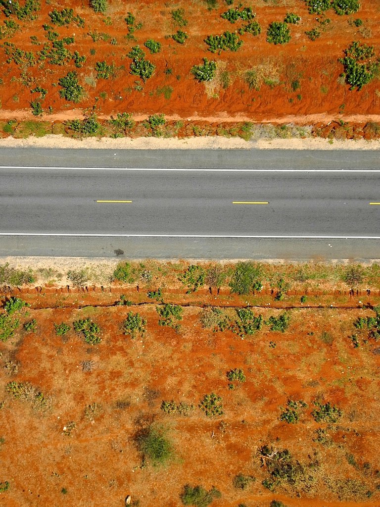 Road into the Wild